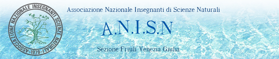 anisn fvg
